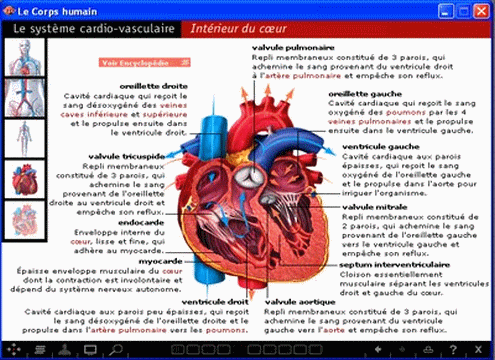 ordinateur_computer_tice_apprentissage_informatique