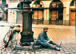 vignette